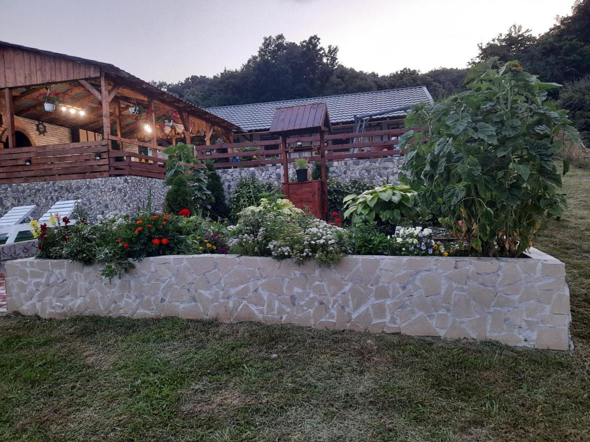 הוילה Ieşelniţa Casa Claudiu מראה חיצוני תמונה